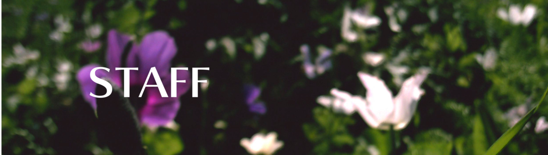 STAFFバナー
